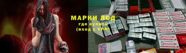 трава Осинники
