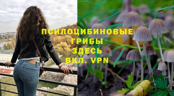героин Бикин