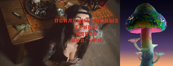 прущая мука Билибино