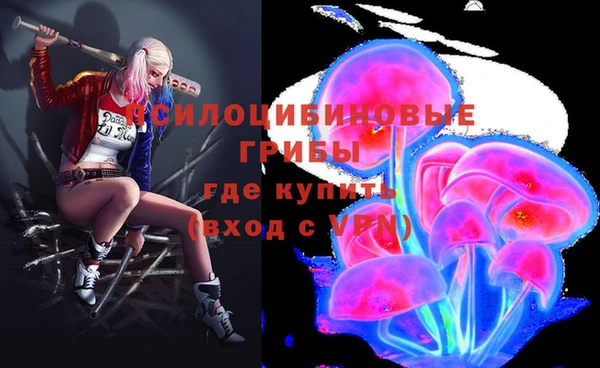ПСИЛОЦИБИНОВЫЕ ГРИБЫ Нязепетровск