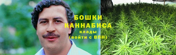 ПСИЛОЦИБИНОВЫЕ ГРИБЫ Нязепетровск
