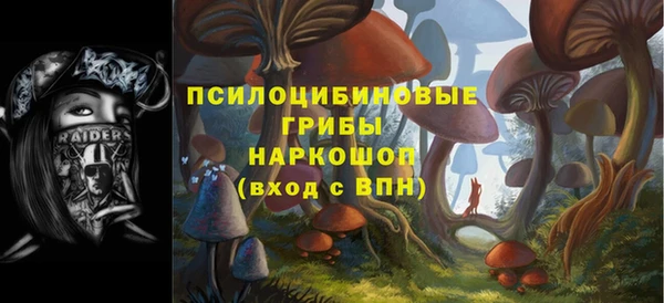 PSILOCYBIN Беслан